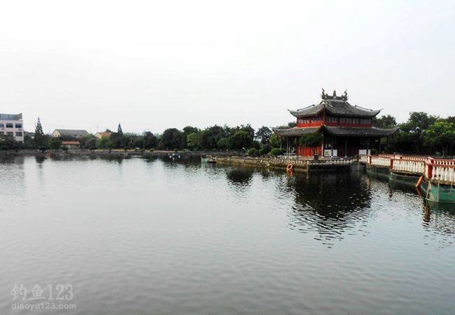 黑坑