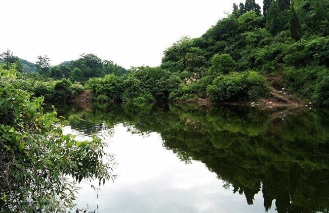 山塘钓鱼环境