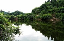 初秋高温出钓山塘钓获大板鲫
