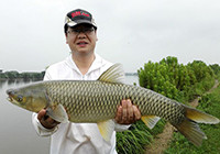 夏钓小河旁喜获大草鱼大板鲫