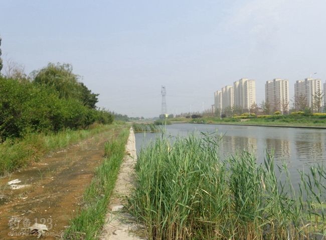 早早的来到城市郊区的一野河钓鱼