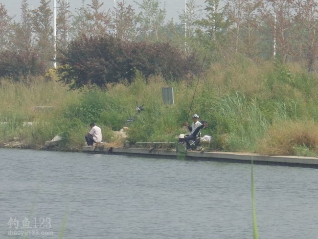 远处几位钓友来的更早，胡竿垂纶忙得正欢