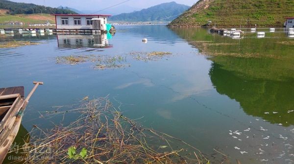 水库野钓总是会给钓鱼人一些意外和惊喜