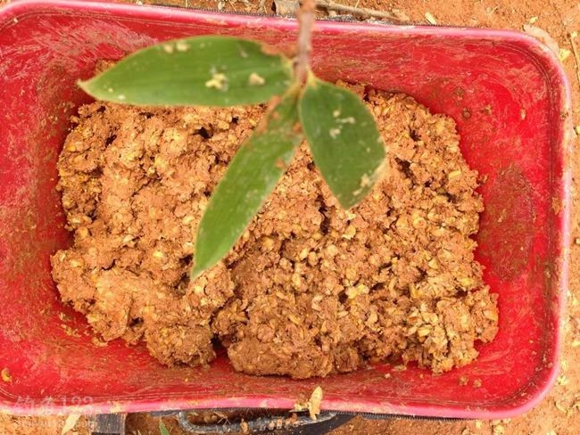 来到水库，首先是找钓位和打窝