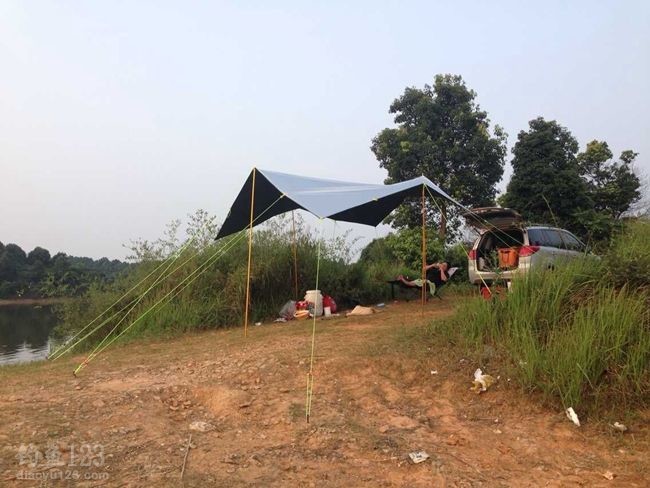 两小时后，我的窝点出现白条连续跳跃