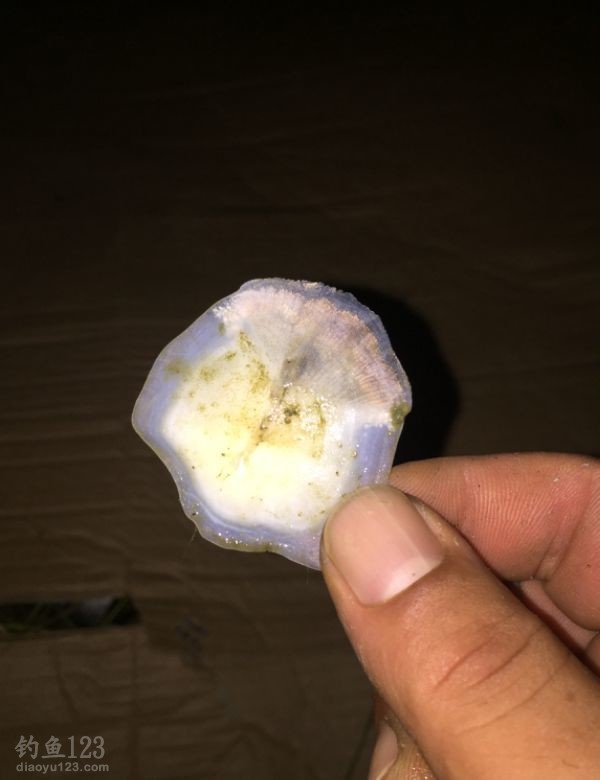 第一天50斤的渔获，第二天我们一起去又是50斤的渔获