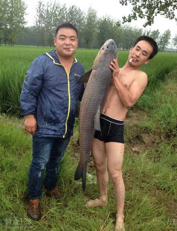 这水库的鱼真的很漂亮，全身透白全天然一点污染都没有