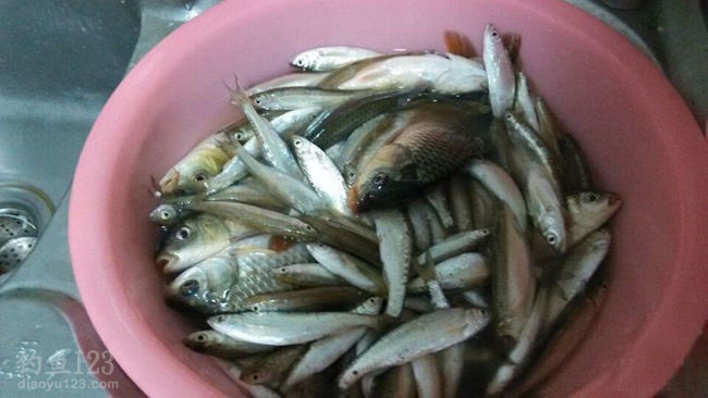 我正心烦意乱，突然浮标一个上顶