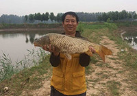 兰考黄河故道钓获野生黄金大鲤鱼