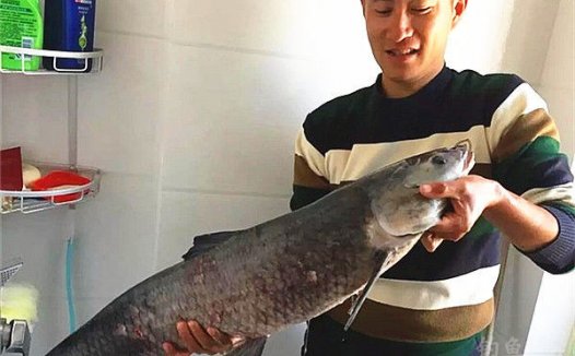 垂钓渔获图片精选 退伍钓鱼人库擒巨物