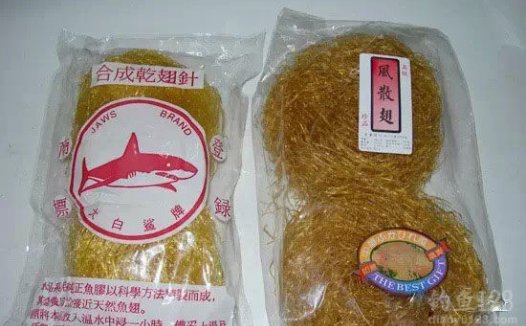 保护鲨鱼,从海钓爱好者做起