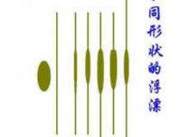 [钓鱼入门]新手学钓鱼8