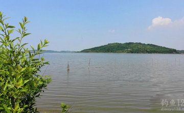 鄱阳湖—路亚翘嘴的好地方