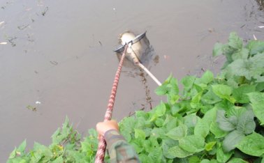 长宁太平水库钓获鲤鱼