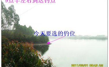 毛毛虫钓鱼记