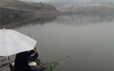 水库弯弓钓大鲤鱼