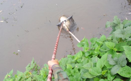 长宁太平水库钓获鲤鱼