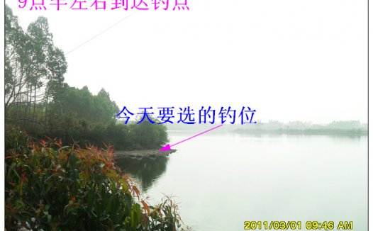 毛毛虫钓鱼记