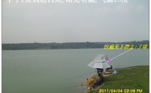 水库钓到埃及塘虱