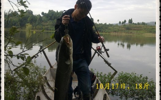 四川简阳三岔湖路亚鲶鱼（超爽）