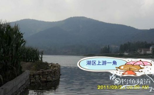 双河湖水库爽钓鲫鱼