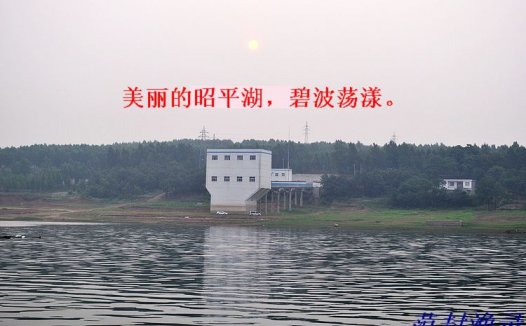 鱼排钓翘嘴技巧实录(海量钓鱼图片)