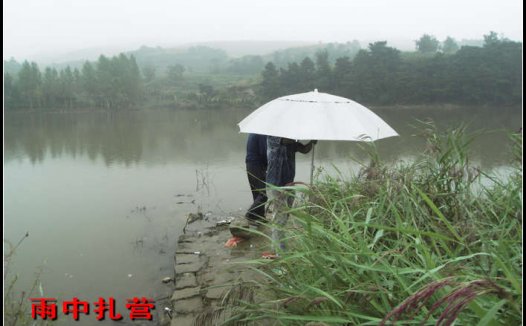 2012年度野钓大总结(爽钓大鱼)