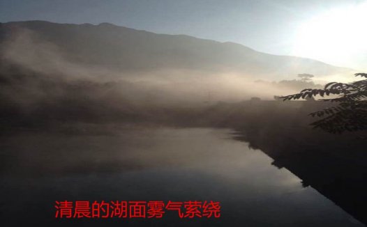 屌丝心中的美女钓神