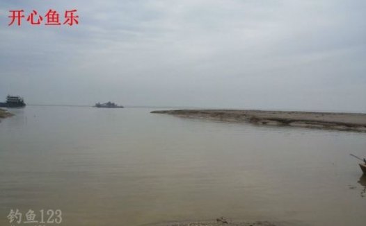 洞庭湖野钓场路亚钓获黑鲶鱼