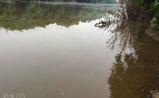 立冬爽钓自留地大板鲫鱼频上钩
