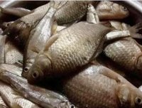 自用钓鱼窝料配方分享，半天渔获38斤，感兴趣的拿走不谢