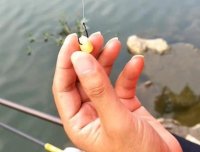 确认过眼神，这3种天然饵专攻大物