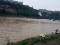 水位涨落情况及流速对鱼觅食有何影响