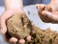 降温后饵料调整思路，明显提升渔获，便宜好用添加剂推荐