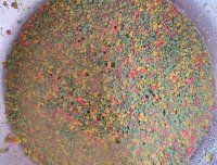 评丸九三色鲤，四大金刚中最没个性的饵料