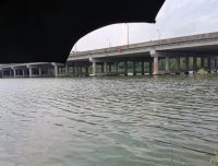 鱼偏食、停口就是小药的错？野钓者对小药误解太深
