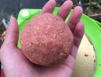 鱼不开口加点腥！钓箱里常备这几种腥饵，野钓鲫鲤鱼获多