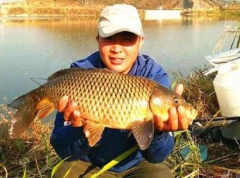 仲秋太冷，鲤鱼就不上钩了？那是你没用这特效饵