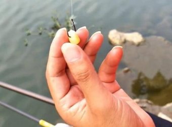 确认过眼神，这3种天然饵专攻大物