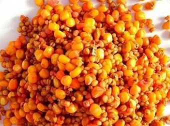 老坛玉米怎么制作的？揭秘商品发酵饵