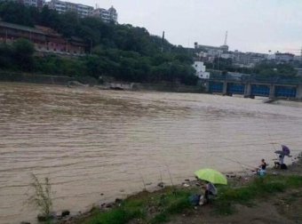 水位涨落情况及流速对鱼觅食有何影响