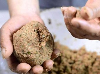 降温后饵料调整思路，明显提升渔获，便宜好用添加剂推荐