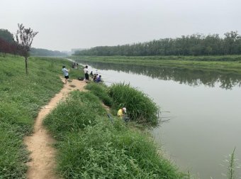 野战蓝鲫x5三兄弟，鱼饵厂家升级换代的3种隐秘方式