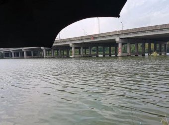鱼偏食、停口就是小药的错？野钓者对小药误解太深