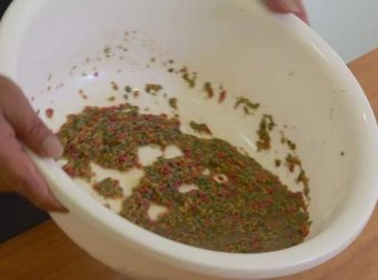 钓鱼使用饵料时，牢记这4点，钓到鱼并不难