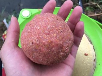 鱼不开口加点腥！钓箱里常备这几种腥饵，野钓鲫鲤鱼获多
