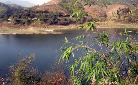 冬季降温后相约作钓下温洋水库爆连马口鱼