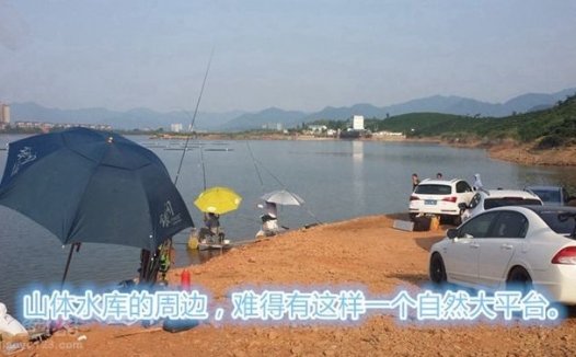 夏季库钓太平湖斩获大鲤大草鱼