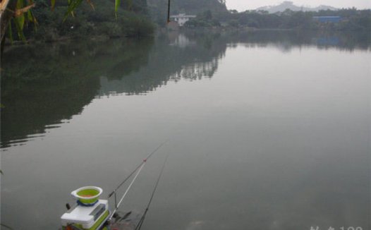 冬季南方艳阳天水库手竿爽钓大鲤鱼鲮鱼