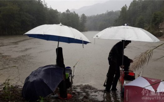 广西水库雨天细线台钓野生鲫鱼和大鲤鱼